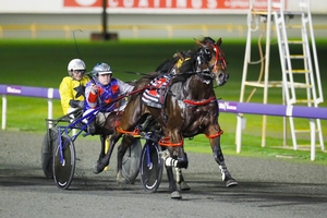 Otis a major contender for $100,000 Westbred Classic