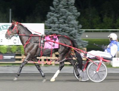 Perfectboy Hanover on the racetrack