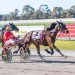 All systems go for Victorian trotting Queen
