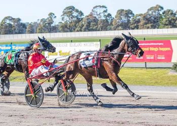 Pin-up girl gears up for Queensland