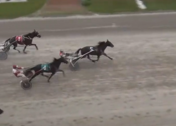 Podium Seelster pops first win champagne