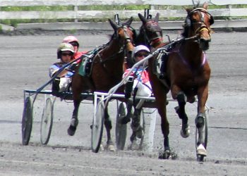 Open to unstoppable Chip Chip Conway