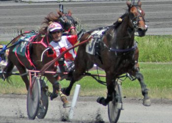 Certified Ideal faultless in feature