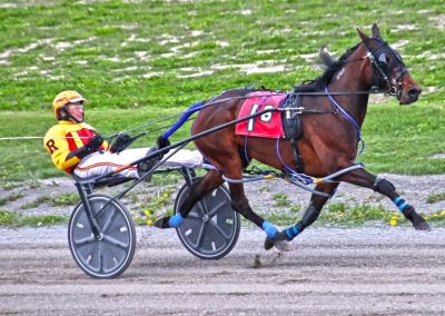 Sarah's Lilly and Bruce Ranger set a 1:56h track record at Cumberland Tuesday