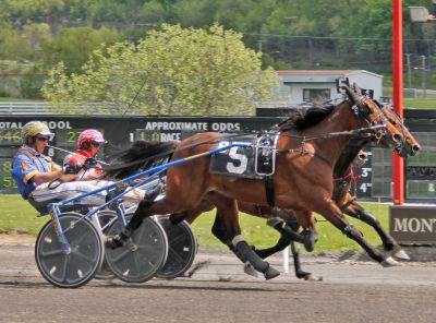 Cinnamon Stick (#5) battles with Awol Hanover as they come down the stretch