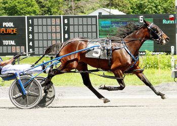 Irish lass wires field in Open Handicap Pace