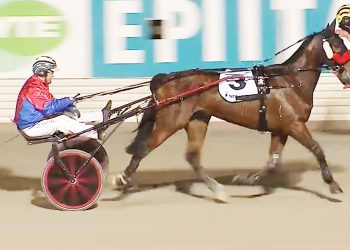 Creativity brings rewards with Rymes