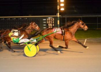 Scirocco Rob and driver Tim Tetrick