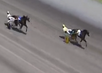 Serious Miki turning into serious contender