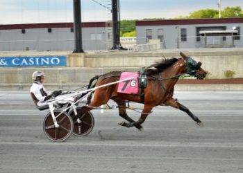 She's Pukka N and driver Tony Morgan