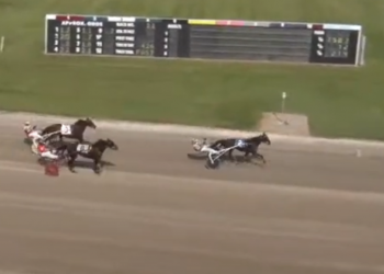 Sorprese back with a bang