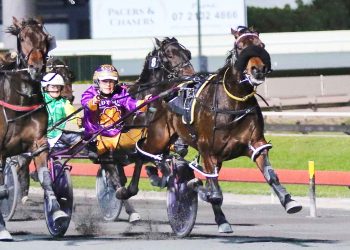 Miracle Mile champions clash – bring it on says Weeks