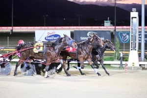 Tasmanian harness highlights