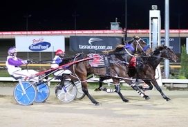 Tasmanian harness highlights