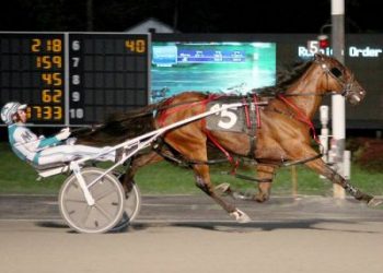 Test Of Faith professional in qualifier