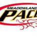 New Leader in Little’s Road to Meadowlands Pace