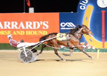 Grimson ready to tackle his next feature