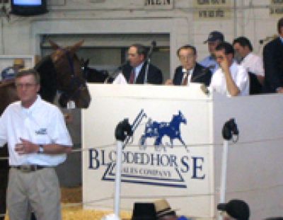 Blooded Horse Sale is accepting additional registrations