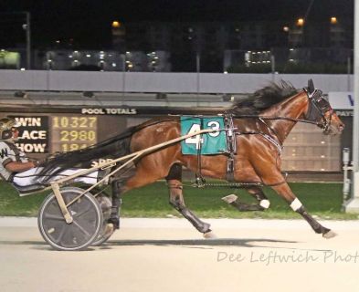 Timon As winning at Pompano Park