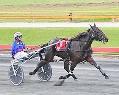 Queensland horseman Trent Dawson is looking to break his Group 1 maiden at Albion Park this Saturday night.