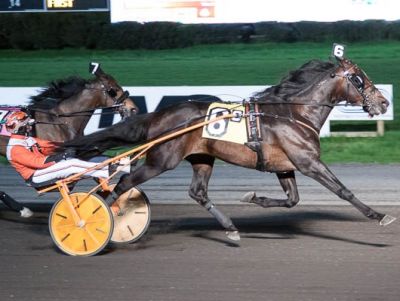 Lindy The Great with driver Andy Miller