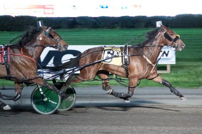 Ruthless Hanover