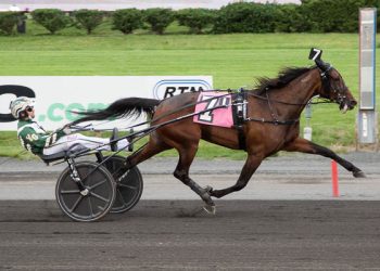 Oaks champs take Miss Versatility divisions