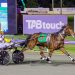 De Campo’s Group 1 feature race haul continues