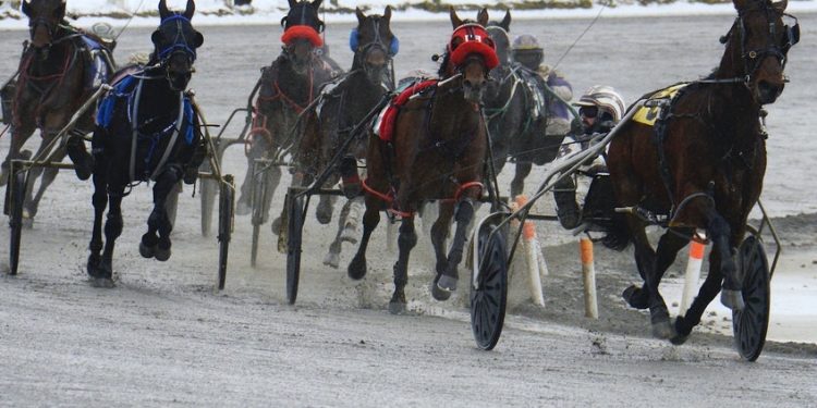 Champion Woodmere Skyroller to make debut