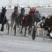 Rookie trotters clash in Brian Andrew Memorial 2 Champion Woodmere Skyroller to make debut