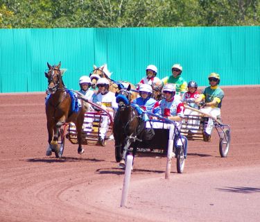 The Harness Horse Youth Foundation Summer/Fall schedule is out