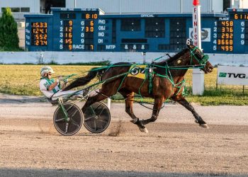 Daylight Rush romps in Open Handicap