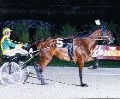 Elegantimage - Ontario Sires Stakes darling of 1996-97