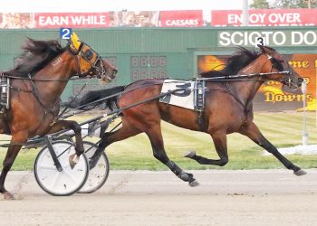 Herculisa sets track record in OSS