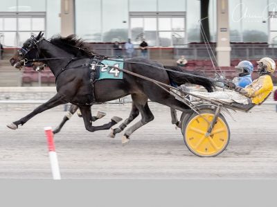 Jujubee (#4) and driver Tony Hall beat Whiskey Blue by a nose