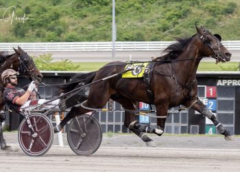 Joe McDude revisits peak in feature