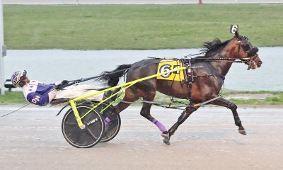 Laughagain Hanover and driver Dan Noble