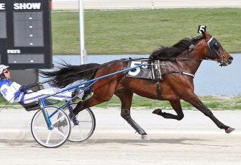 Mission Accepted and driver Chris Page