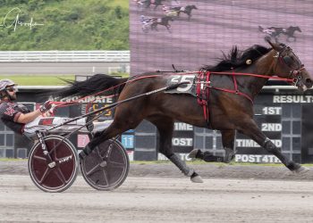 Lifetime mark for My Cousin Eileen