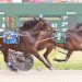 Omyheart takes Gabel Trot Final