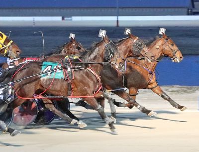 Our Majordan A (#8) holds off a wall of closing horses