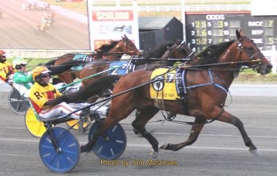 Eurobond, one of driver Bruce Ranger's four winners on the day