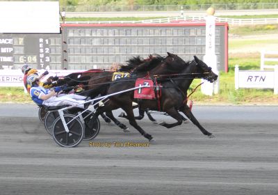 Gracie Under Fire (#1) with Shawn Grey driving get up in the final strides.