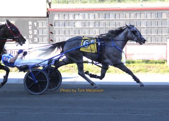 Mass stake eligibles shine at Plainridge