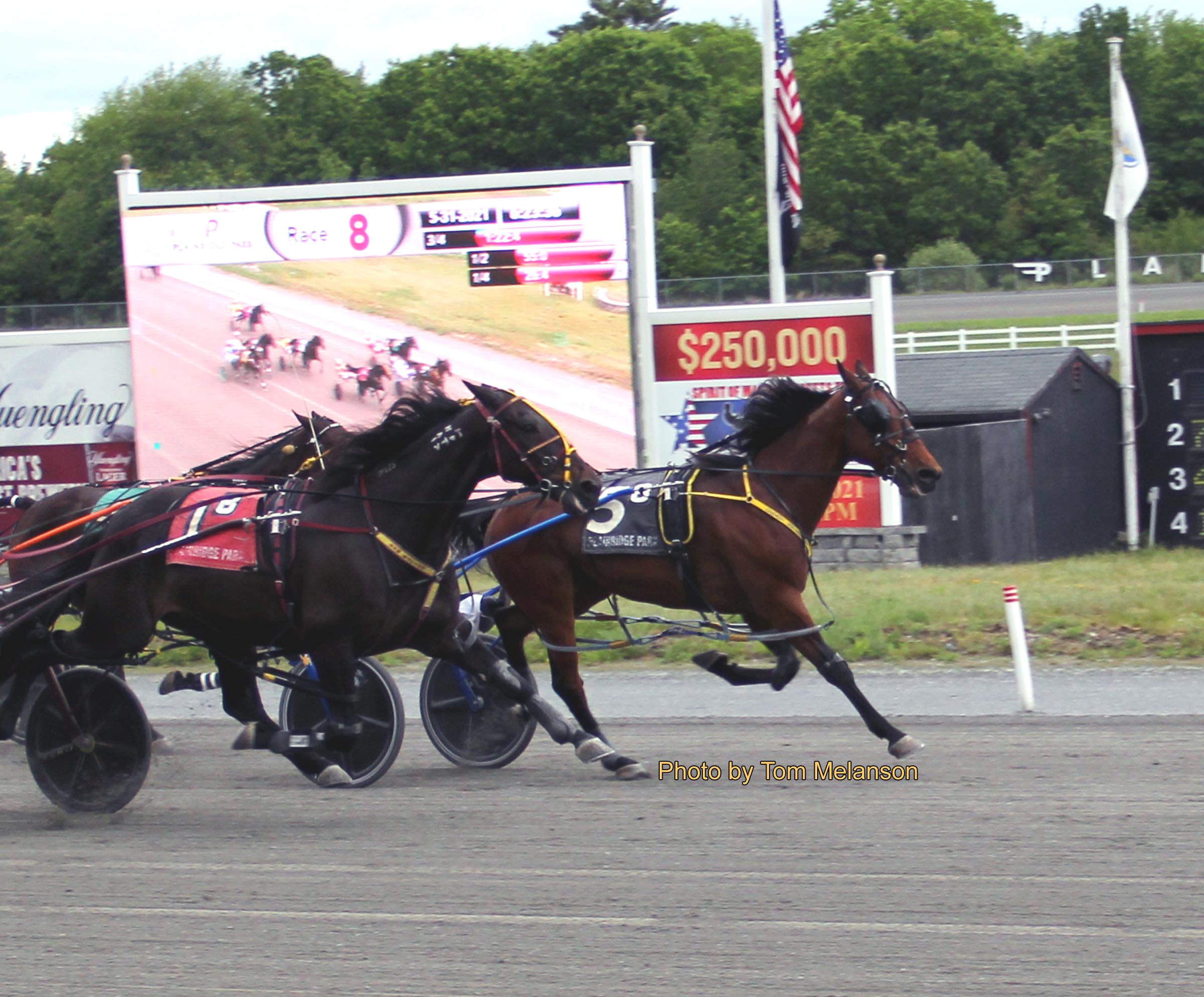 Shawn Gray sweeps all three features 3
