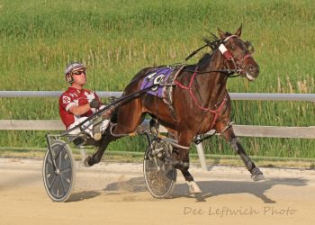 Sire stakes contenders to battle at Cal Expo