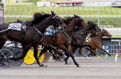 Rising MVP (#3) along the rail, wins tight photo finish by a nose.