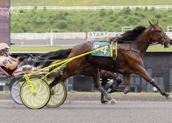 Rising MVP scores again in top trot