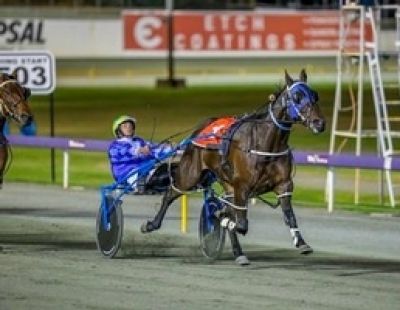 Crocodile Kid will make the quick back-up from Tuesday to race at Gloucester Park this Friday night.