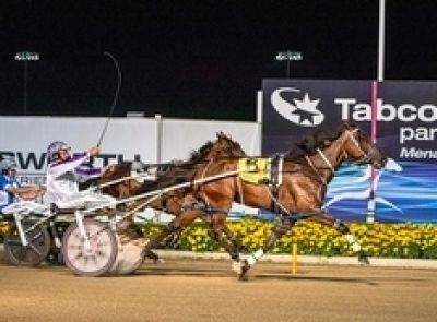 The "million dollar question" is will Tasty Delight lead in Saturday night's Group 1 Australian Pacing Gold Final at Tabcorp Park Melton?